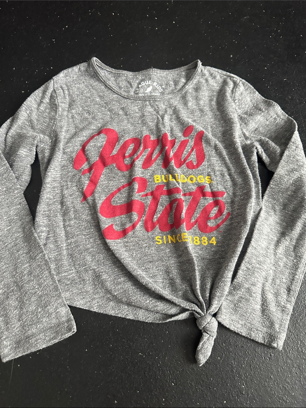 FSU Ferris State University Grey Long-Sleeve Tie-Front short/crop Top